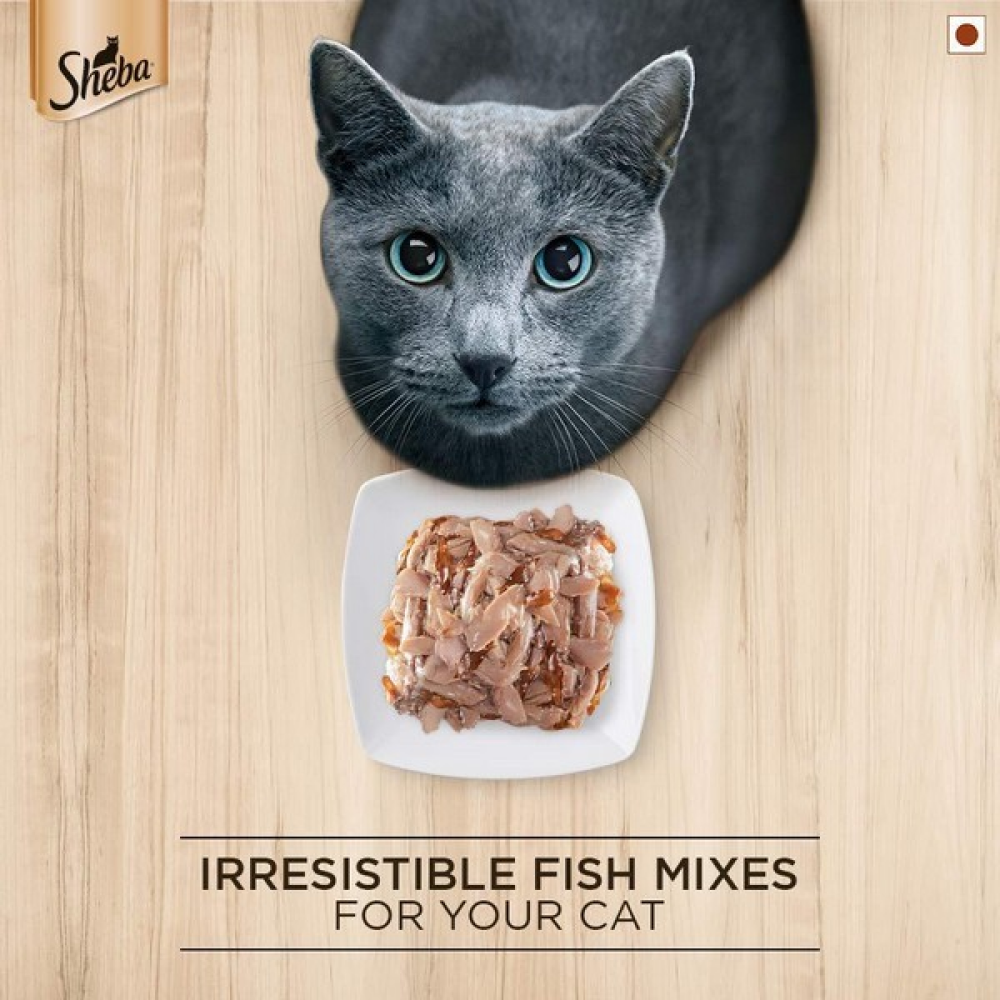 Sheba Fish with Dry Bonito Flake Premium Cat Wet Food and Chicken Flavour Irresistible All Life Stage Cat Dry Food Combo Exclusive Combo Sheba