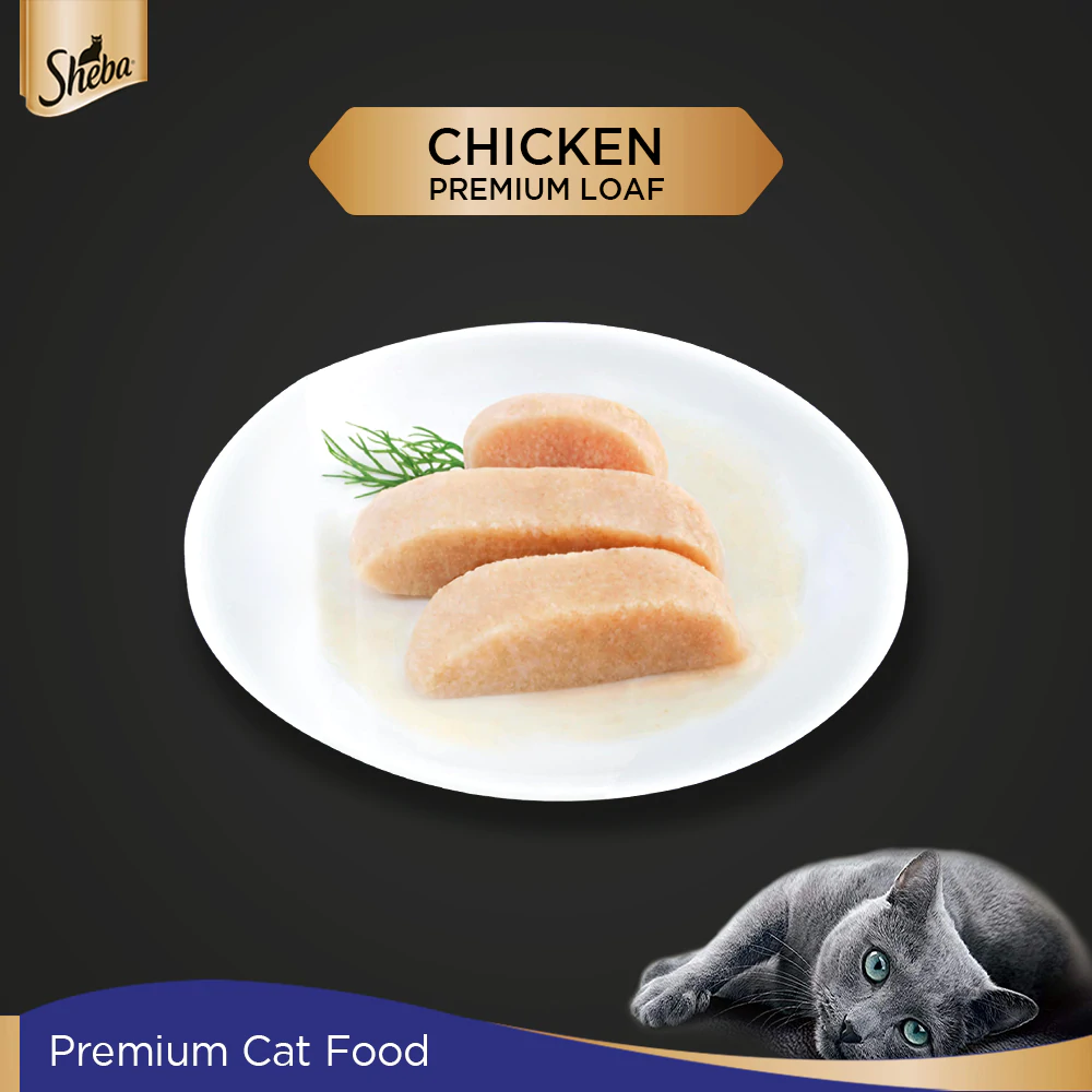 Sheba Chicken Loaf and Chicken With Tuna In Gravy Rich Premium Adult Fine Cat Wet Food Combo