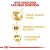 Royal Canin Boxer Adult Dog Dry Food Dogs- Dry Food Royal Canin