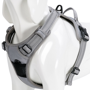 Truelove Classic Harness and Padded Collar for Dogs (Grey) - L