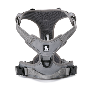 Truelove Classic Harness and Padded Collar for Dogs (Grey) - L