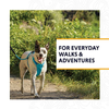 Ruffwear Hi & Light Harness for Dogs (Lichen Green) Dogs-Collar, Leashes, harnesses Ruffwear Dropship
