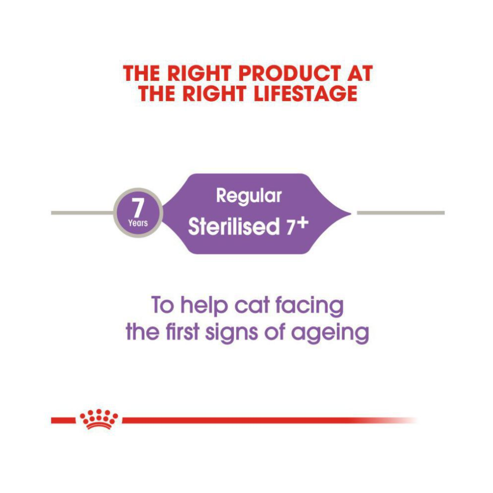 Royal Canin Regular Sterilised/Neutered 7+ Adult Cat Dry Food Cats- Dry food Royal Canin