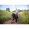 Ruffwear Front Range Harness for Dogs (Hibiscus Pink)