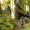 Ruffwear Bark&