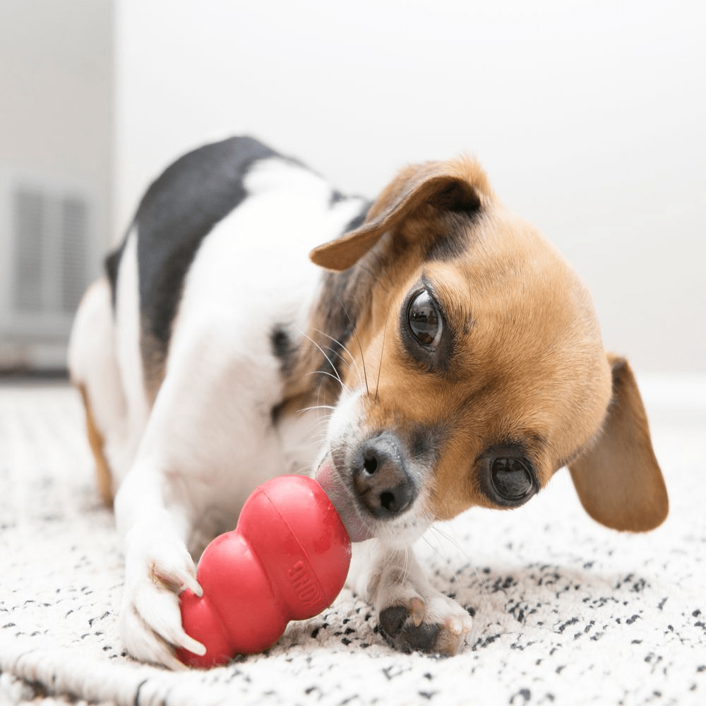 Bark Out Loud Immunity Multi Vitamin Chew Stix and Kong Classic Toy for Dogs and Cats Combo Exclusive Combo Exclusive Combo