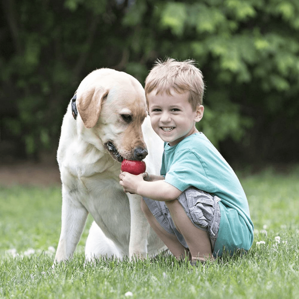 Bark Out Loud Immunity Multi Vitamin Chew Stix and Kong Classic Toy for Dogs and Cats Combo Exclusive Combo Exclusive Combo