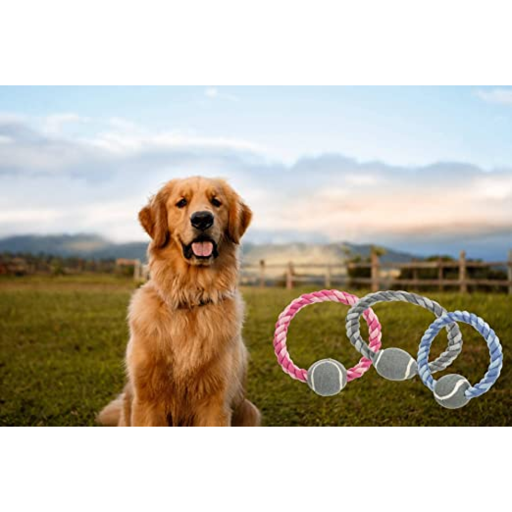 Trixie Rope Ring with Tennis Ball Toy for Dogs (Blue)