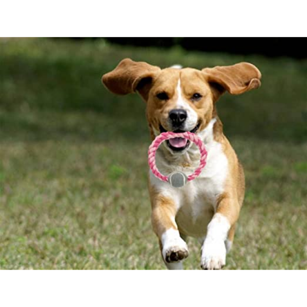 Trixie Rope Ring with Tennis Ball Toy for Dogs (Blue)