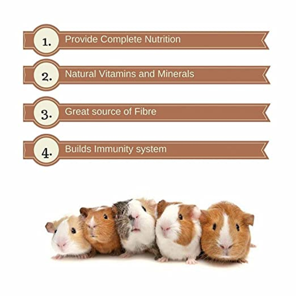 Vitapol Economic and Karmeo Premium Food for Hamster and Guinea Pig Combo