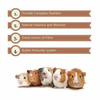 Vitapol Economic and Karmeo Premium Food for Hamster and Guinea Pig Combo Hamster & Guinea pigs Vitapol