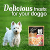 Cesar Sasami with Cheese & Vegetables in Jelly Adult Dog Wet Food Dogs-Wet Food Cesar