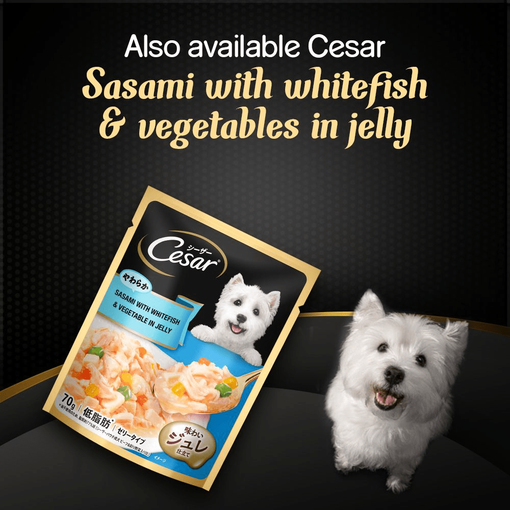 Henlo Baked Dry Food for Adult Dogs and Cesar Sasami with Cheese