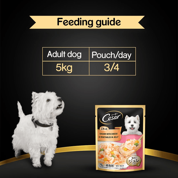 Cesar Sasami with Cheese & Vegetables in Jelly Adult Dog Wet Food