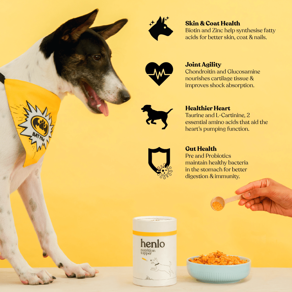 Henlo Everyday Topper for Home Cooked Food and Bark Out Loud Skin & Coat Sardine Oil for Dogs Combo