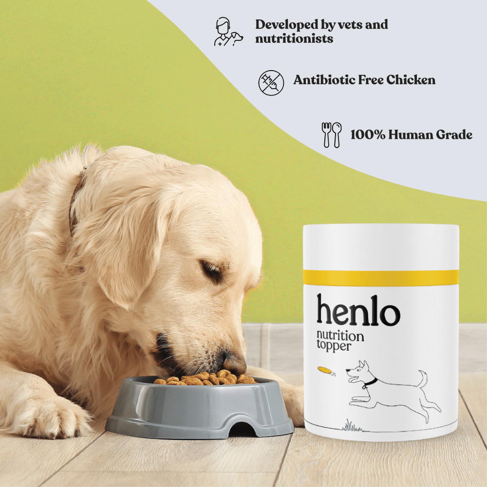 Henlo Everyday Topper for Home Cooked Food and Pedigree Dentastix Small Breed Dog Combo