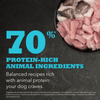 Acana Small Breed Puppy Dry Food Dogs- Dry Food Acana