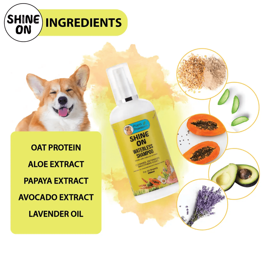 Papa Pawsome Shine On Waterless Shampoo and Braided Rope Ball for Dogs Dogs-Grooming Supplies Papa Pawsome