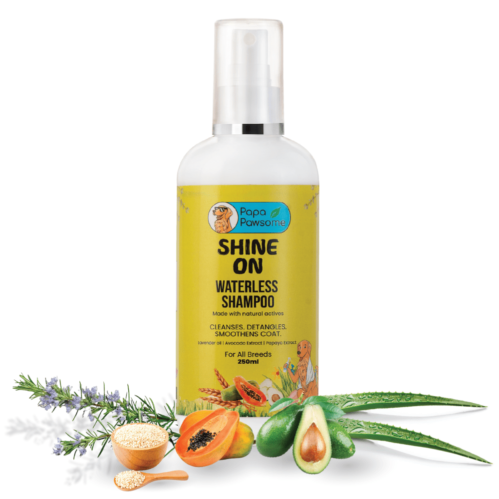 Papa Pawsome Shine On Waterless Shampoo and Braided Rope Ball for Dogs Dogs-Grooming Supplies Papa Pawsome