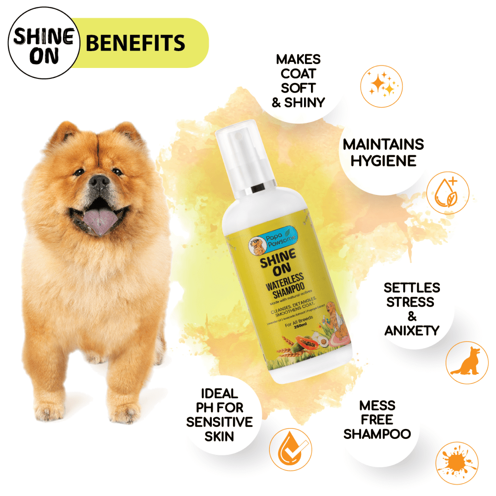 Papa Pawsome Shine On Waterless Shampoo and Braided Rope Ball for Dogs Dogs-Grooming Supplies Papa Pawsome
