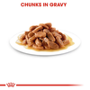 Royal Canin Kitten Gravy Cat Wet Food Cats-Wet Food Royal Canin