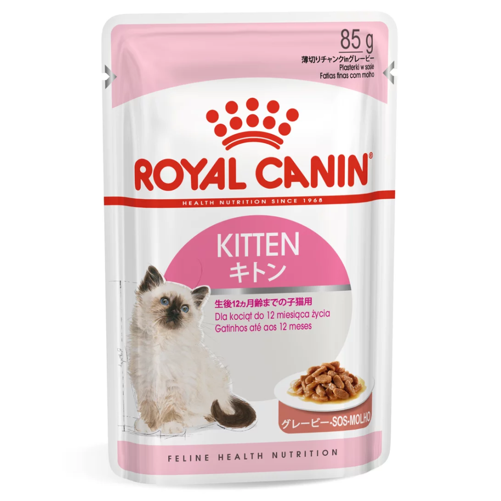 Royal Canin Persian Dry Food and Gravy Kitten Cat Wet Food Combo