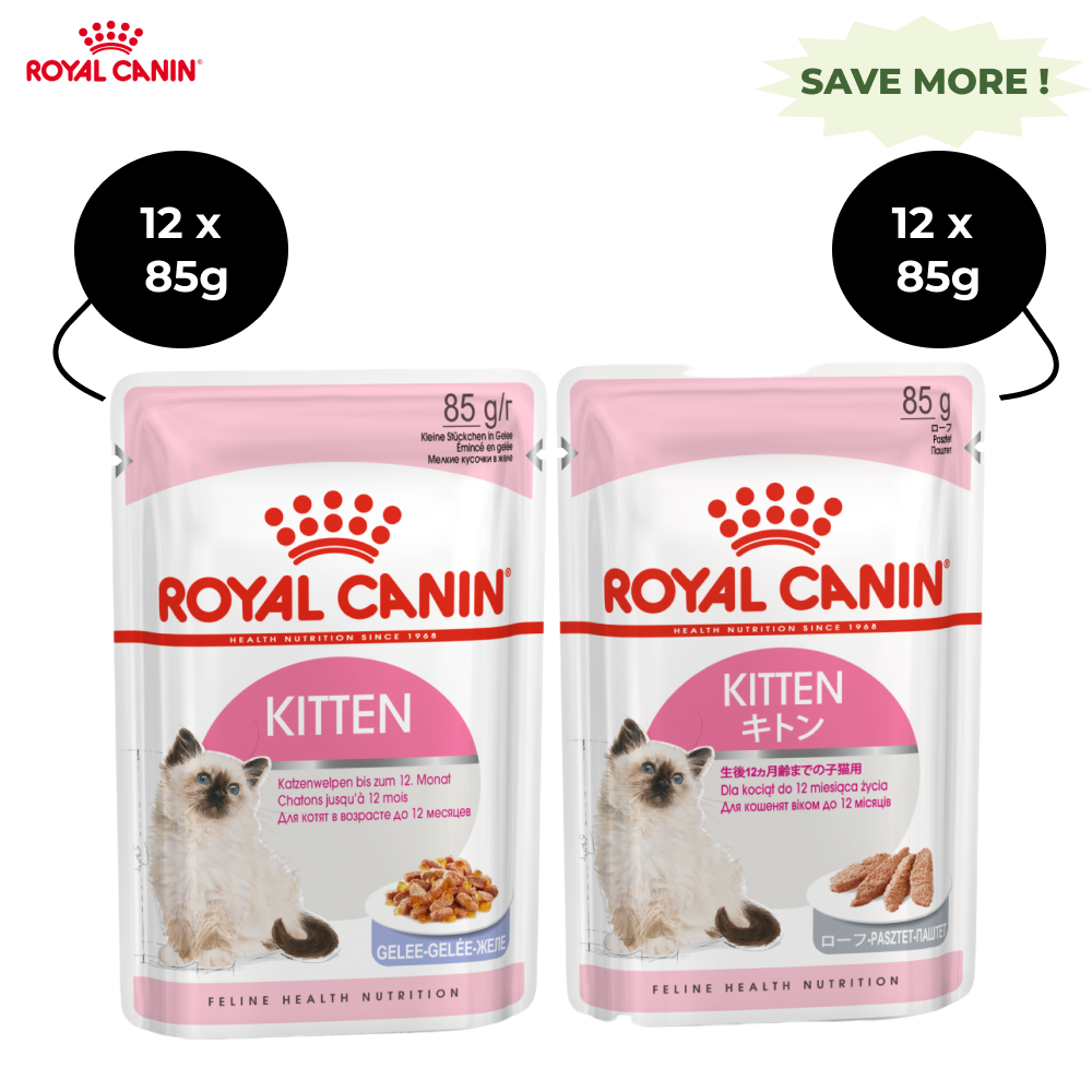 Royal Canin Kitten Jelly and Kitten Loaf Cat Wet Food Combo