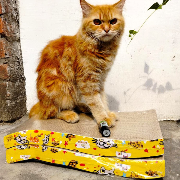 GiGwi Johnny Stick with Catnip & Natural Feathers Toy and Emily Pets Sofa Bed Scratching Pad for Cats and Kittens Combos