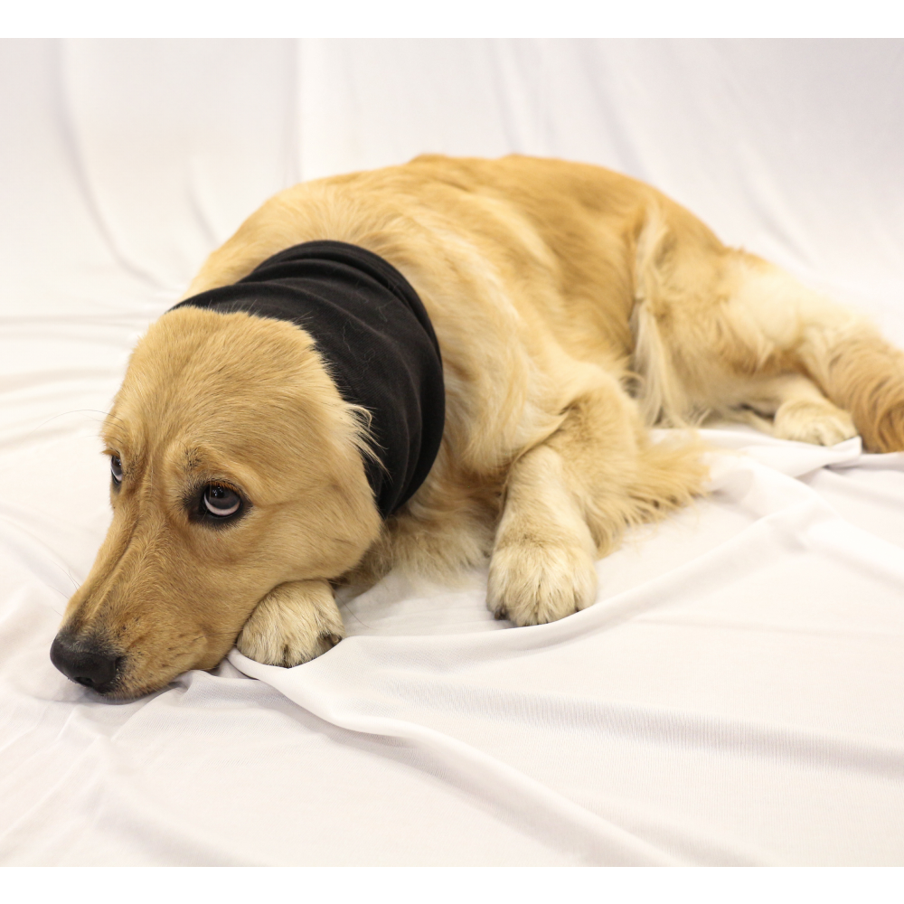 Skatrs Cold and Sound Protection Ear Muffs for Dogs and Cats (Black) Both-Clothing & Accessories Skatrs