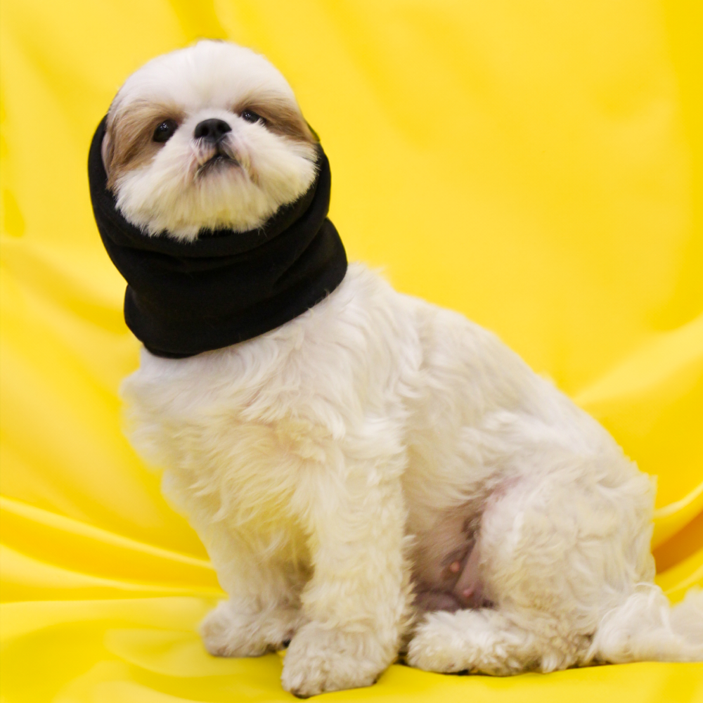 Skatrs Cold and Sound Protection Ear Muffs for Dogs and Cats (Black) Both-Clothing & Accessories Skatrs