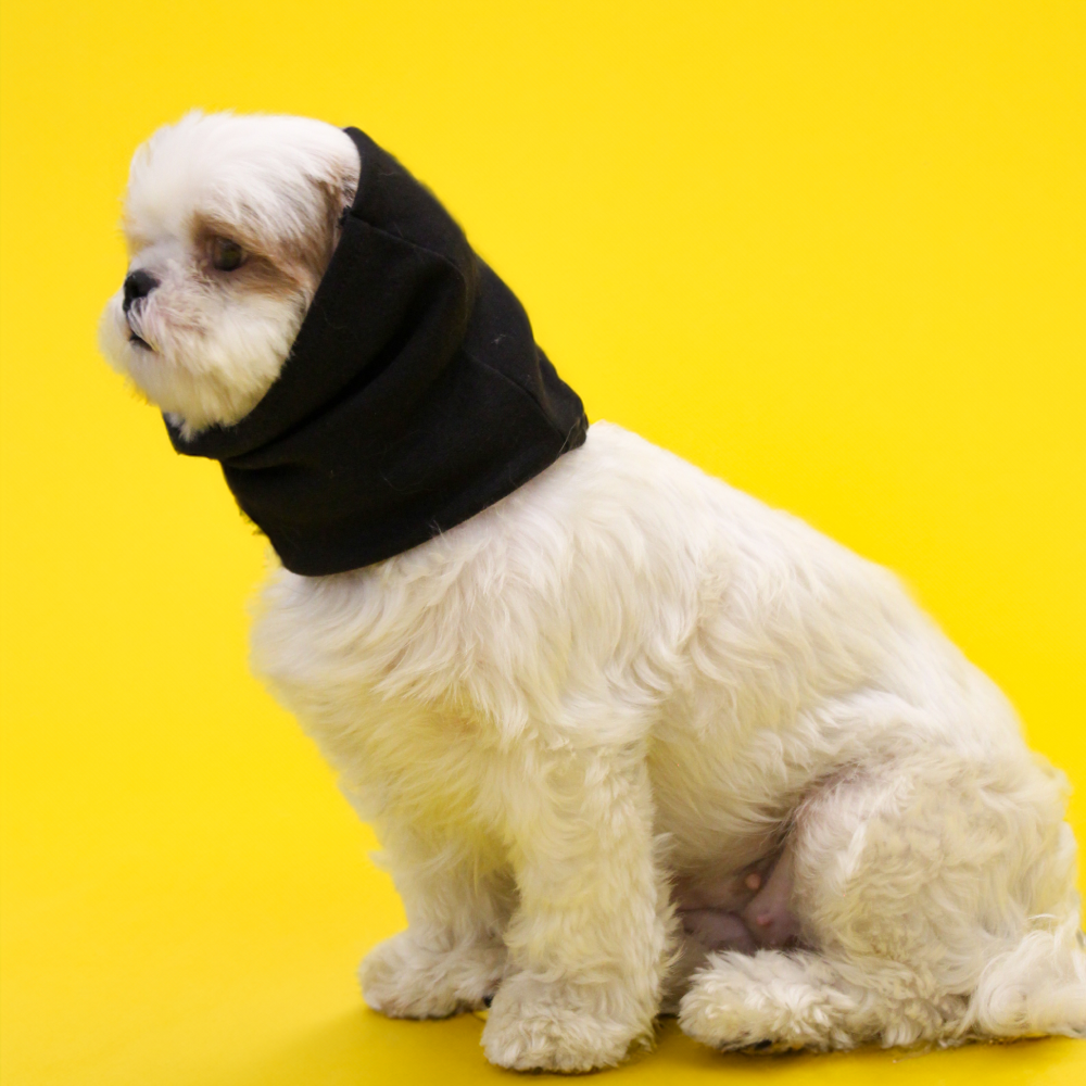 Skatrs Cold and Sound Protection Ear Muffs for Dogs and Cats (Black) Both-Clothing & Accessories Skatrs