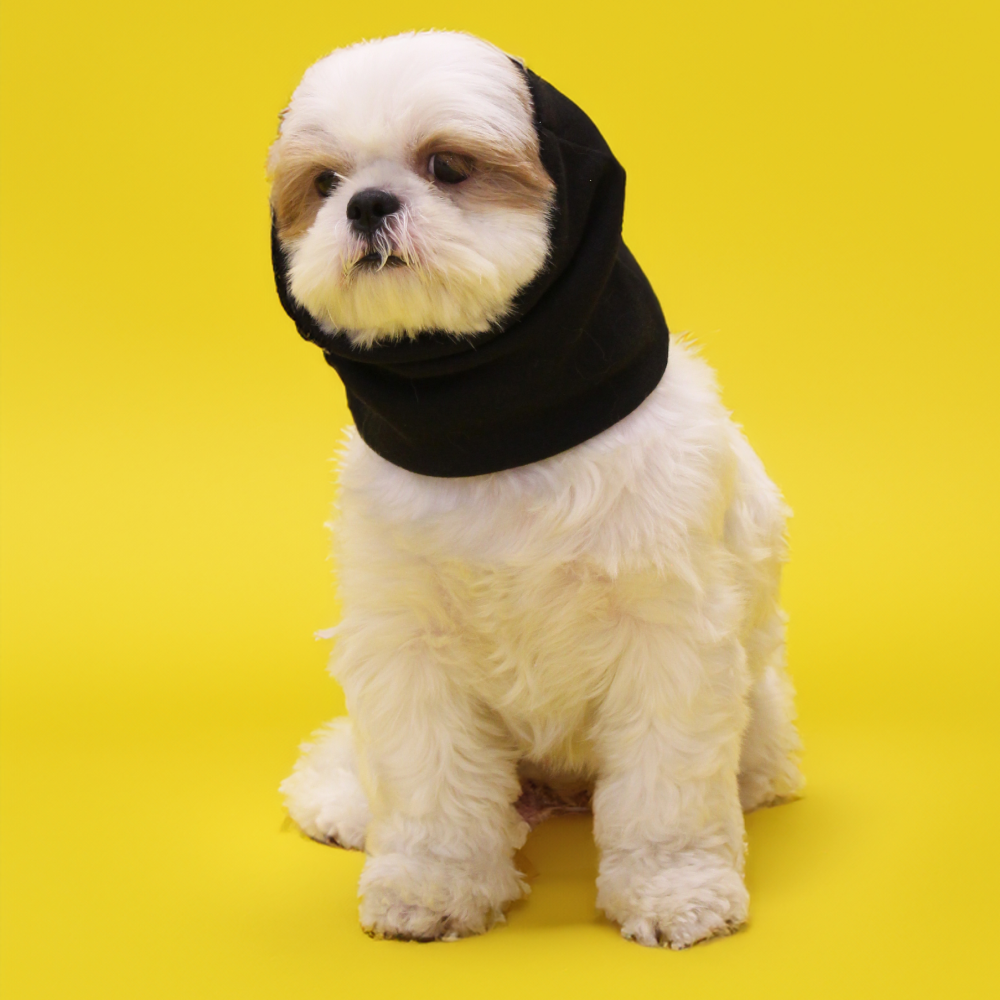 Skatrs Cold and Sound Protection Ear Muffs for Dogs and Cats (Black) Both-Clothing & Accessories Skatrs