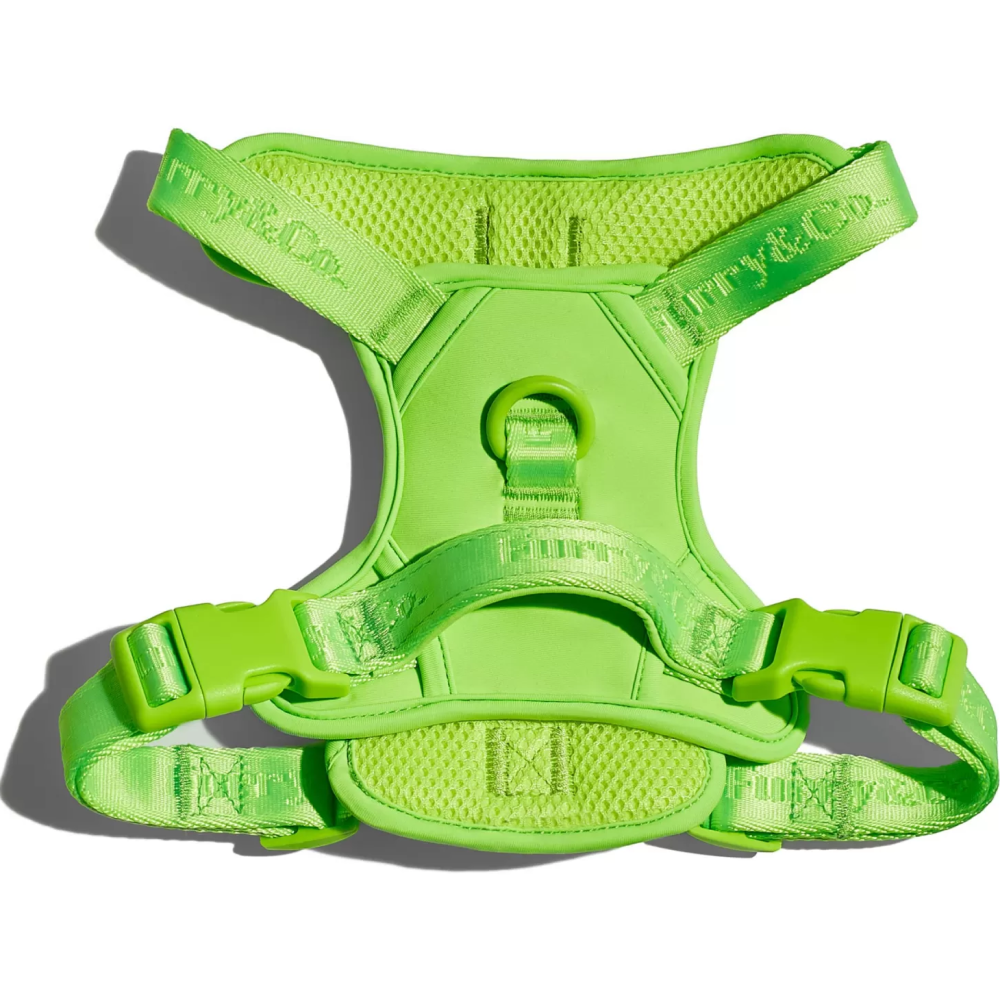 Furry & Co Ultra Harness for Dogs (Limelight)