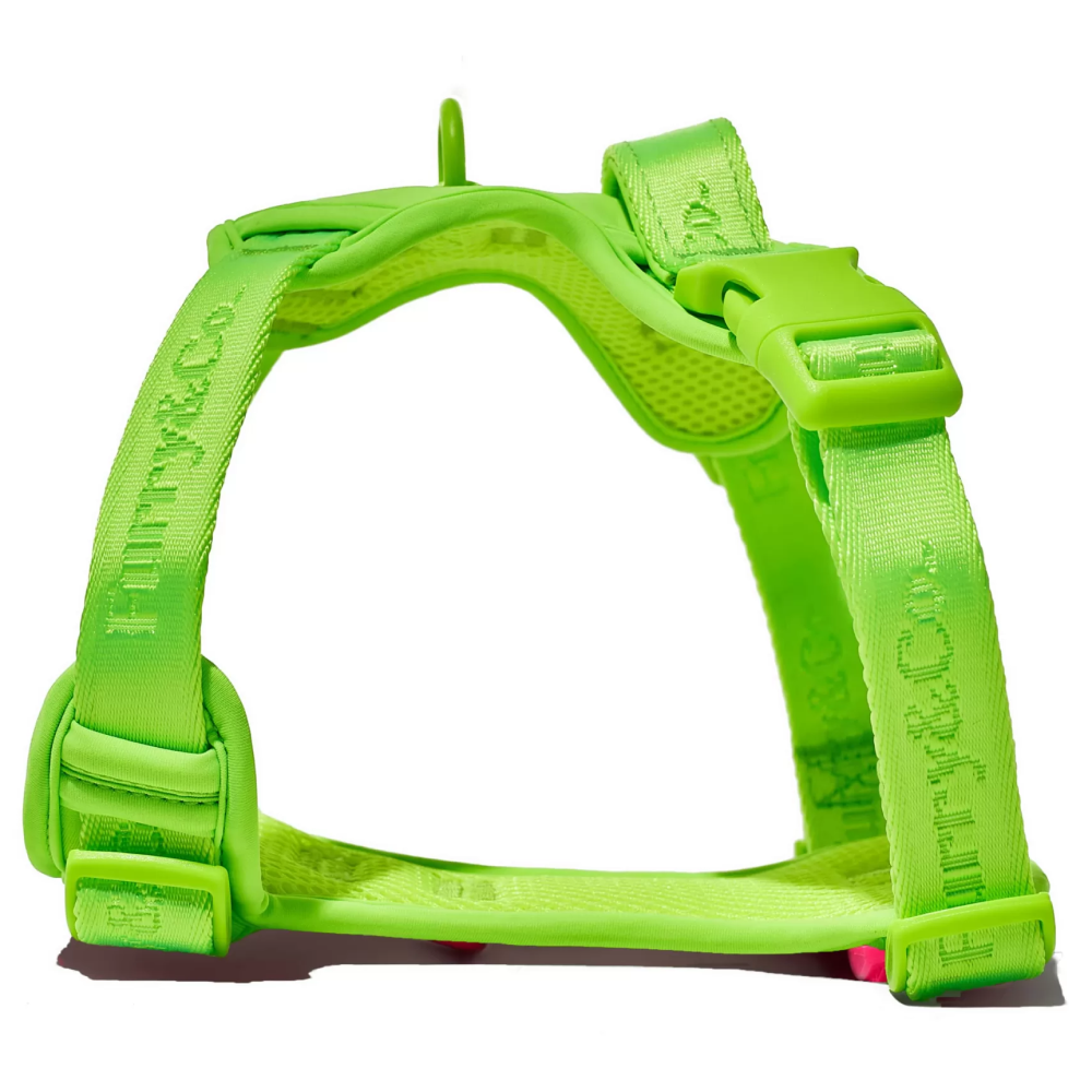 Furry & Co Ultra Harness for Dogs (Limelight) Dogs-Collar, Leashes, harnesses Furry & Co