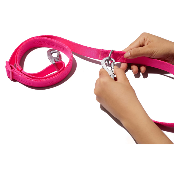 Furry & Co Ultra Leash for Dogs (Electra)