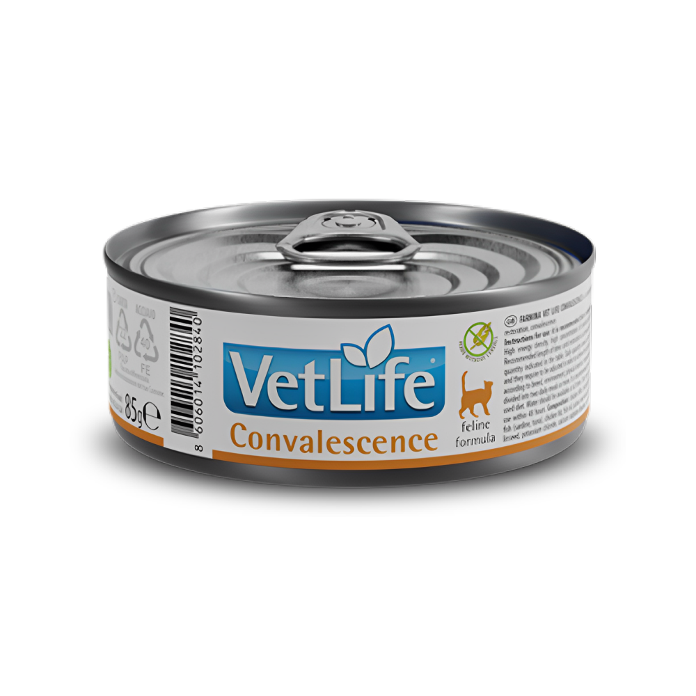 Farmina Vet Life Convalescence Feline Formula Cat Wet Food