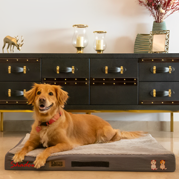 Petter World Micro Fur Orthopedic Mattress Bed with Memory Foam Base for Dogs (Meteorite)