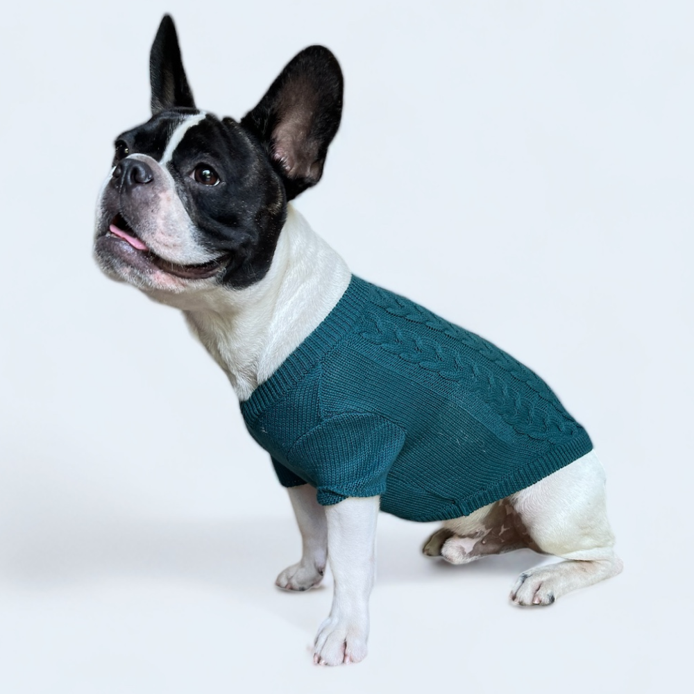 Talking Dog Club Doggy Jumper Sweater for Dogs and Cats (Dark Green)