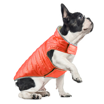 Talking Dog Club Double Trouble Reversible Jackets for Dogs (Orange/Brown)