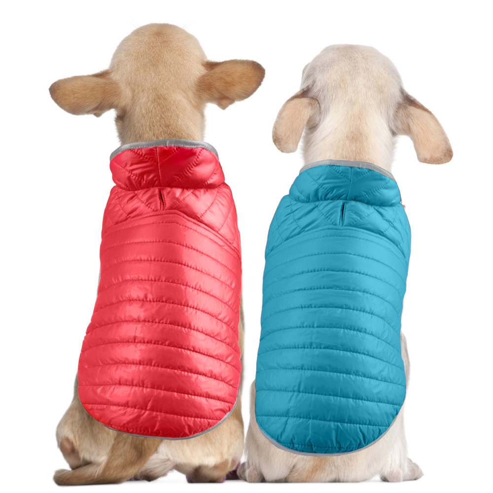 Talking Dog Club Double Trouble Reversible Jackets for Dogs (Red/Blue)