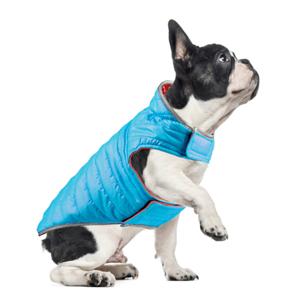 Talking Dog Club Double Trouble Reversible Jackets for Dogs (Red/Blue)