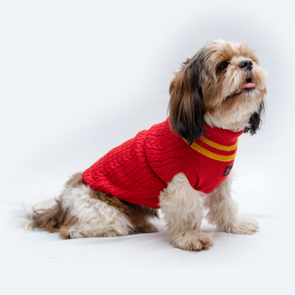 Pawgypets High Neck Cable Kint Sweater for Dogs and Cats (Red)