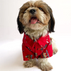 Pawgypets Warm Winter Pets Shirt for Dogs and Cats (Red) Both-Clothing & Accessories Pawgypets Dropship
