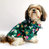 Pawgypets Warm Winter Shirt for Dogs and Cats (Green) Both-Clothing & Accessories Pawgypets Dropship XXS