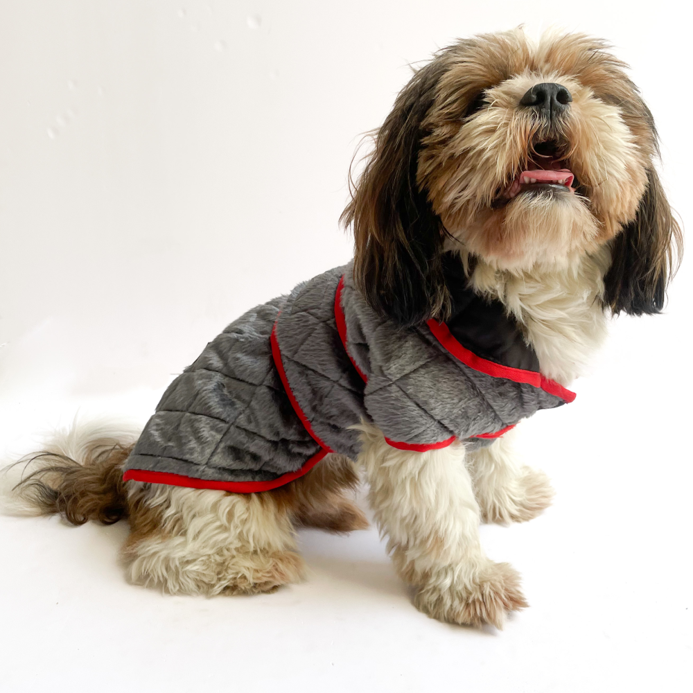 Pawgypets Reversible Quilted Jacket for Dogs and Cats (Grey/Red)