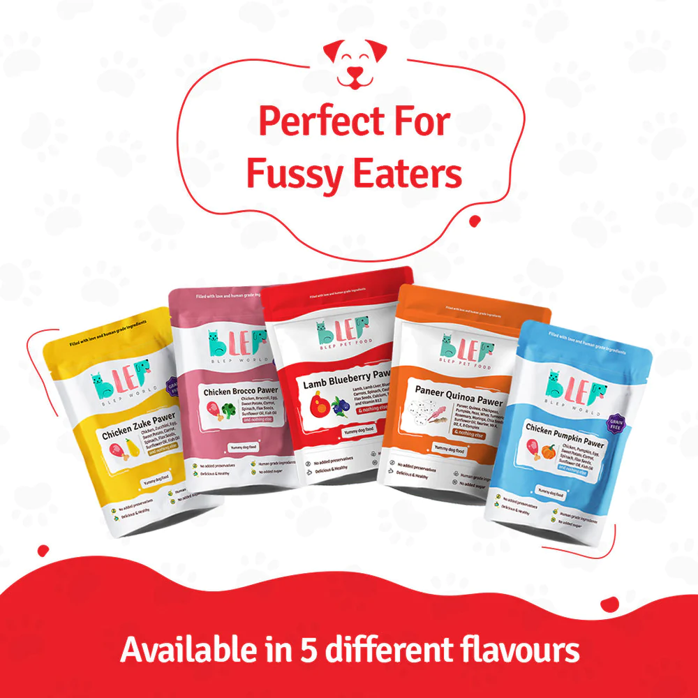 BLEP Pawer 5 Flavour Variety Pack Dog Wet Food