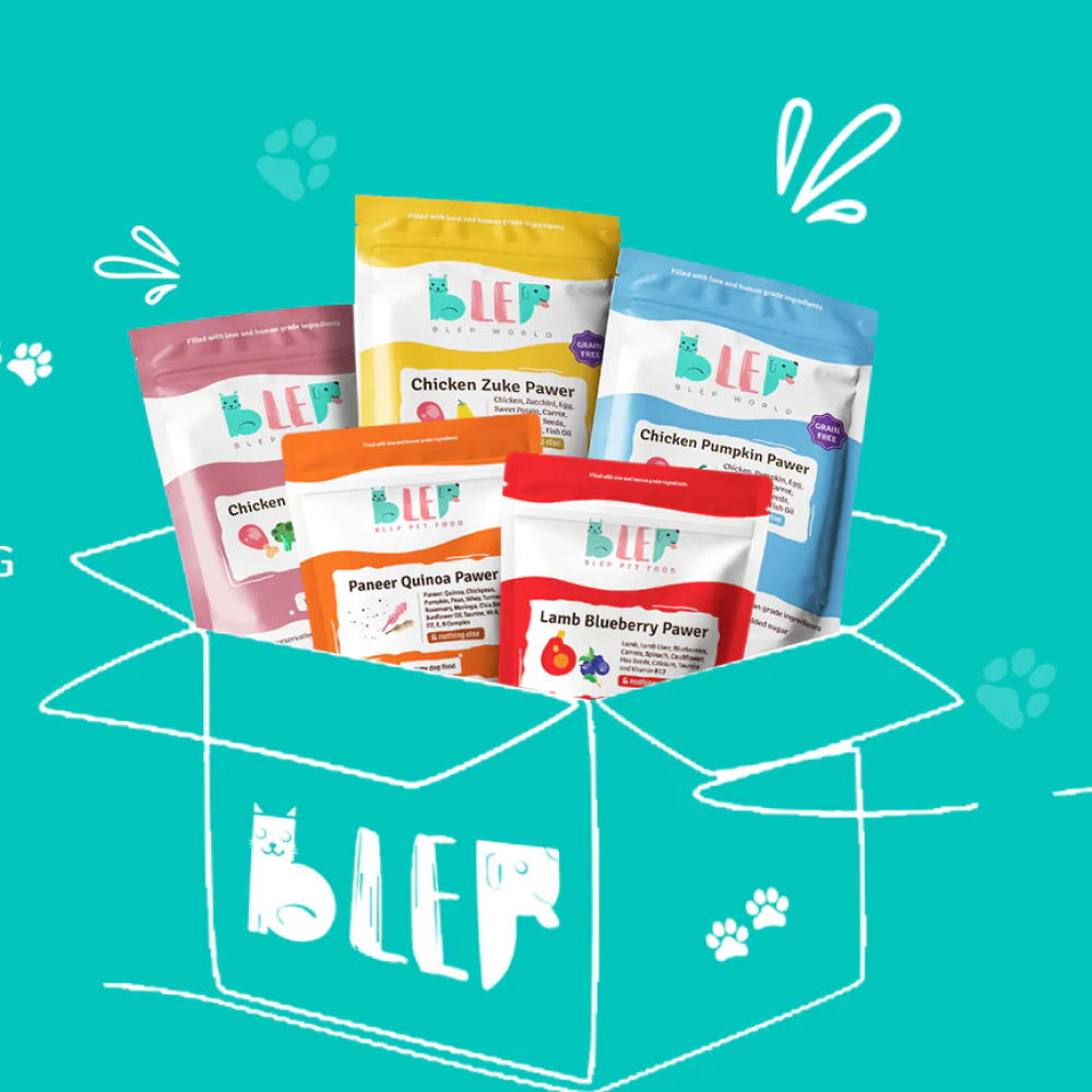 BLEP Pawer 5 Flavour Variety Pack Dog Wet Food