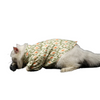 Pawgypets Heritage Summer Kurta for Dogs and Cats (Off White with Orange)