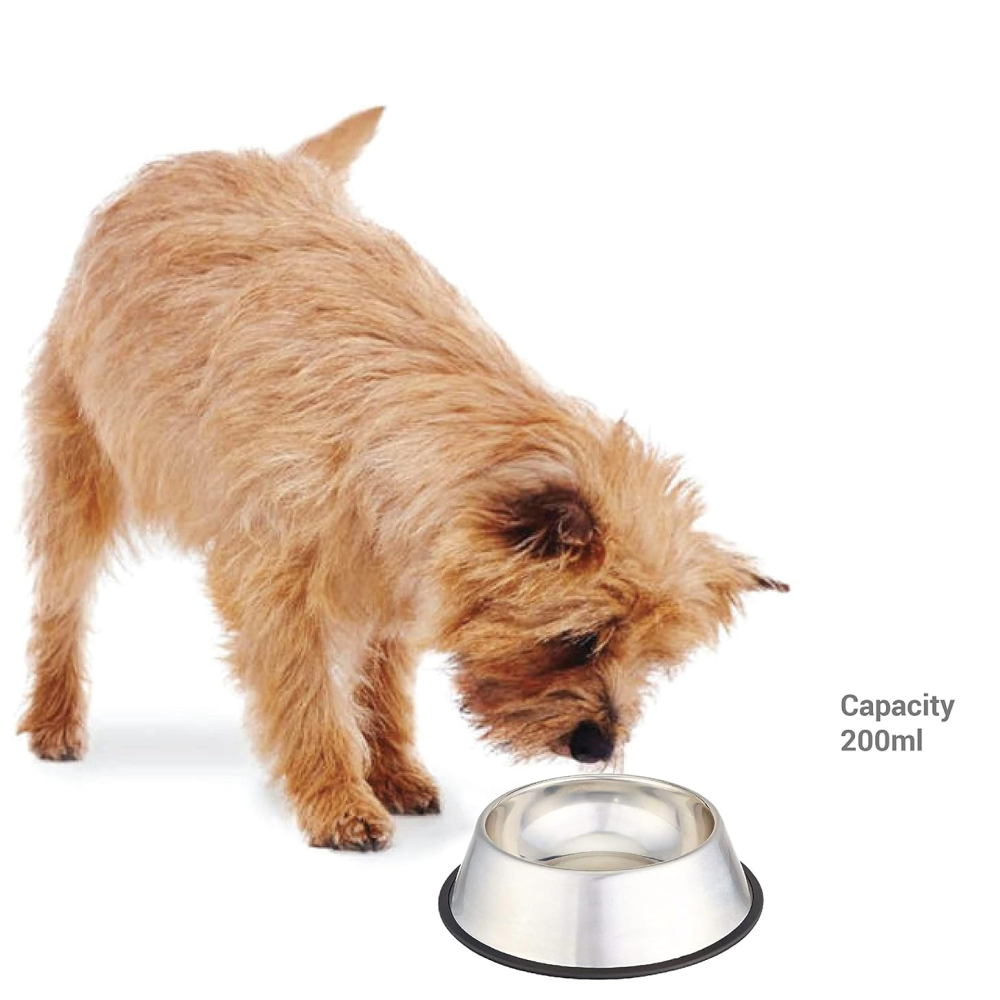 Pets Empire Regular Anti Skid Bowl for Dogs and Cats