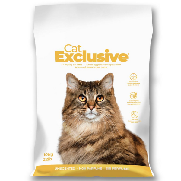Intersand Cat&